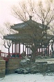 20120310_034