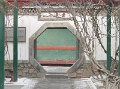 DSC09554