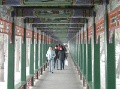 DSC09565