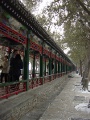 DSC09572