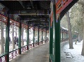 DSC09586