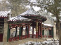 DSC09602