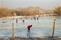 20120311_039