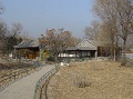 DSC09934