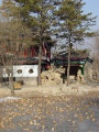 DSC09941