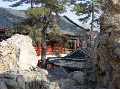 DSC09945