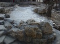 DSC09955