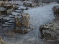 DSC09956