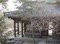 DSC09961