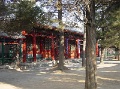 DSC09964