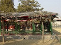 DSC09965