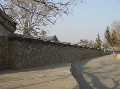 DSC09970