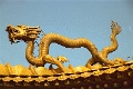 20120311_066