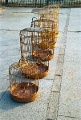 20120310_071