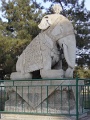DSC09872