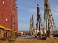 DSC09885