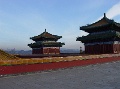 DSC09907