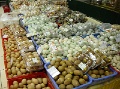 DSC09309