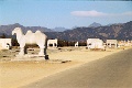20120311_008