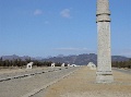 DSC09657