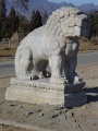 DSC09659