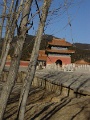DSC09680