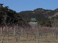 DSC09715