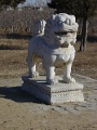 DSC09766