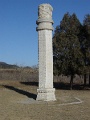 DSC09767
