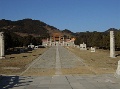 DSC09768