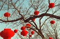 20120309_027