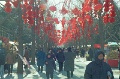 20120309_028