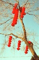 20120309_029