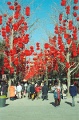 20120309_038