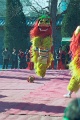 20120309_047