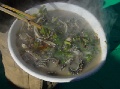 DSC00019-2