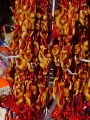 DSC00044-2