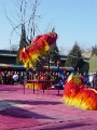 DSC00066-2