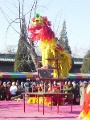 DSC00068-2