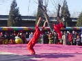 DSC00071-2
