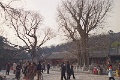 20120309_001