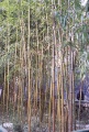 20120309_007