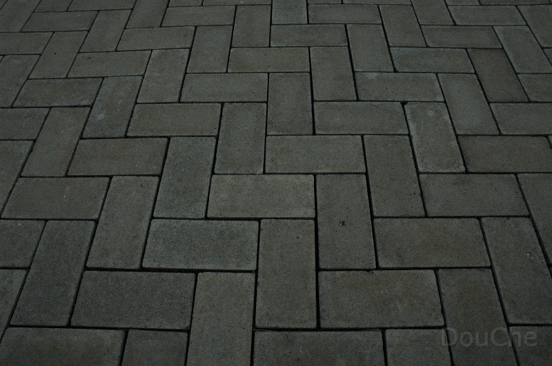 DSC_0088.jpg