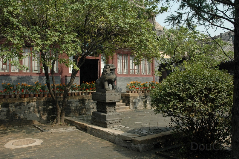 JP_DSC_0015.jpg