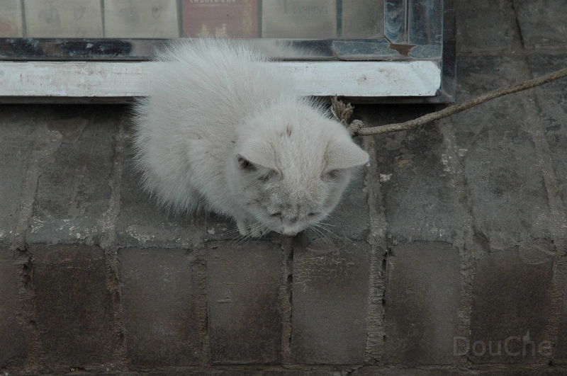 JP_DSC_0252.jpg