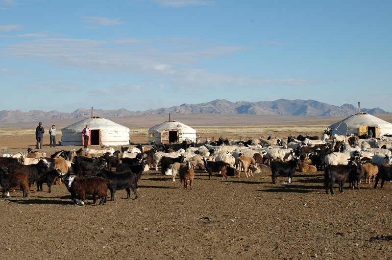 MP_DSC_0185.jpg
