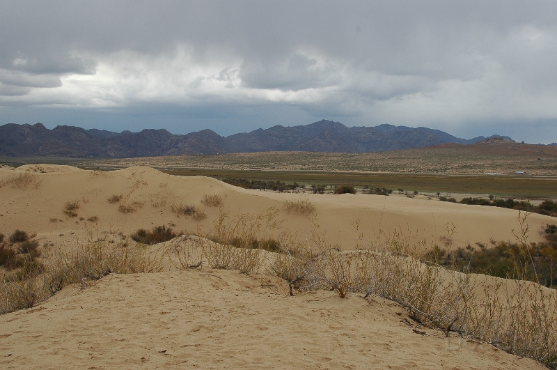 MP_DSC_0157.jpg