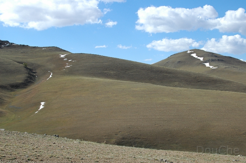 MP_DSC_0207.jpg