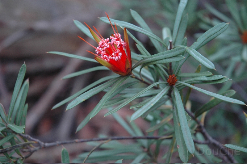 DSC_0308B.jpg