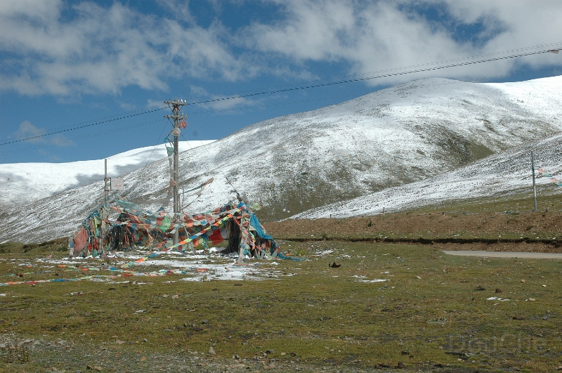 DSC_0617.jpg
